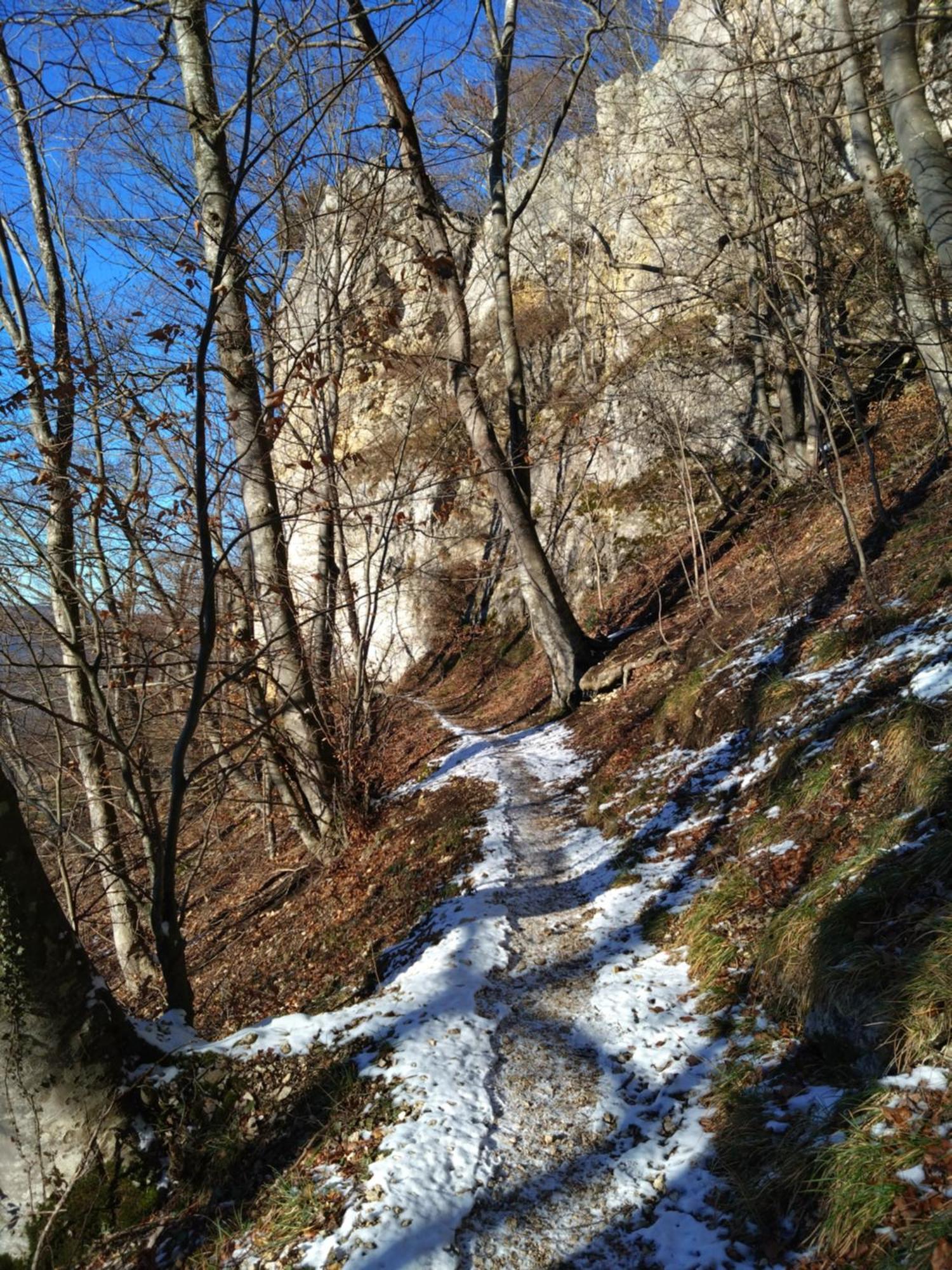 Ferienwohnung An Der Loipe Lichtenstein  Buitenkant foto